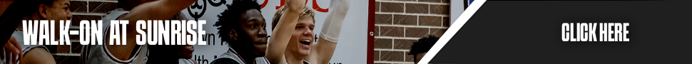 Banner Alt Text