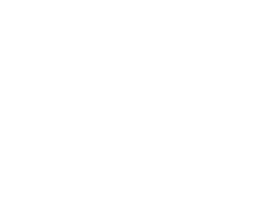${altText} Logo